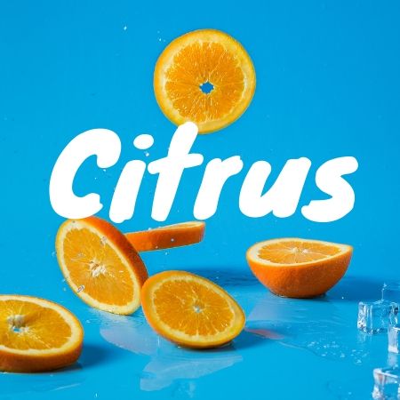 Citrus Fruits