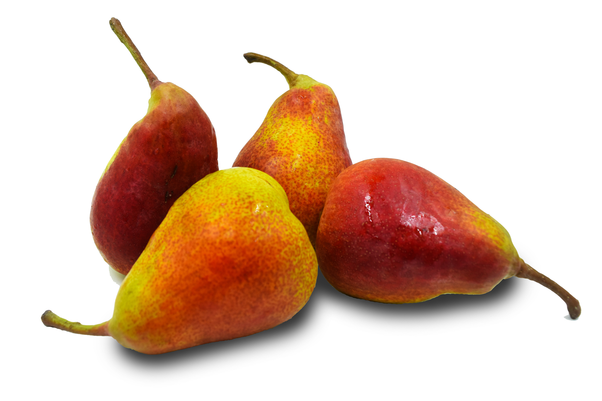celinapear