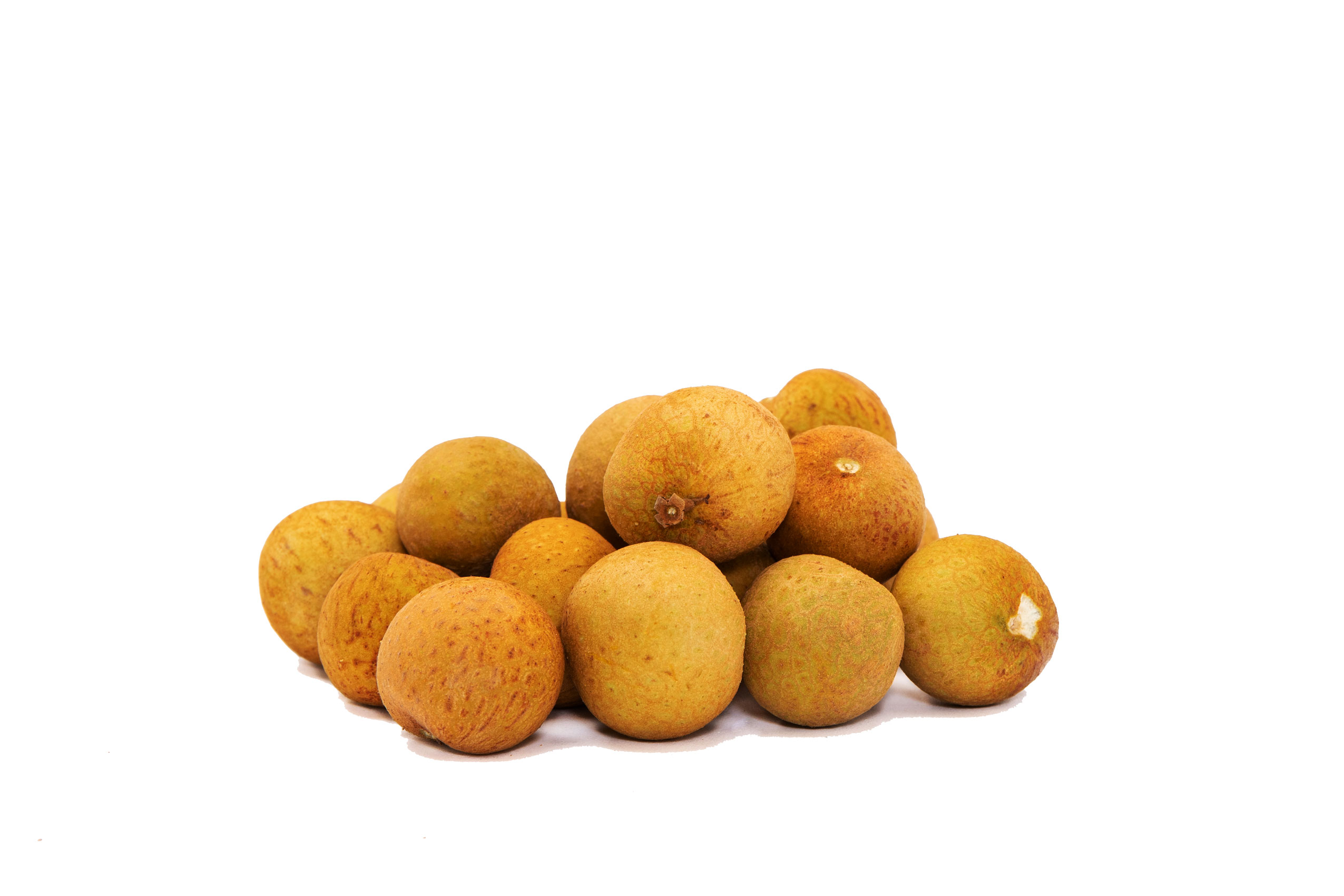 longan-yypy