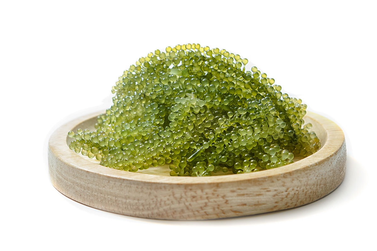 sea-grapes-umibudo-stock